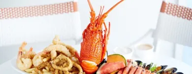 Business 39 image CYREN BAR GRILL SEAFOOD Waterfront Restaurants Sydney in Sydney NSW