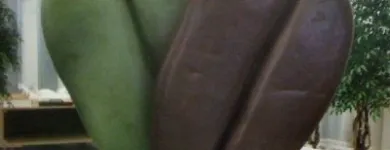 Business 5 image DECOWORKS Window Security in Surry Hills NSW