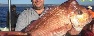 Business 5 image DEEP BLUE CHARTERS Fishing Tackle in Sydney NSW