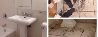 Business 5 image DIRT2TIDY PERTH Home Cleaning in Perth WA