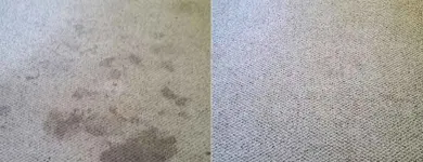 Business 9 image DIRT2TIDY PERTH Home Cleaning in Perth WA