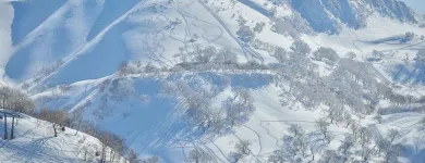 Business 5 image DISCOVER WINTER Travel Agents in Sydney NSW