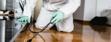 Business 4 image FAST PEST CONTROL MELBOURNE Pest Control in Melbourne VIC