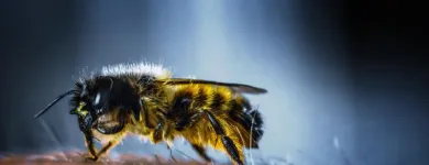 Business 3 image FAST PEST CONTROL SUNSHINE COAST Pest Control in Sunshine Coast - Marcoola QLD