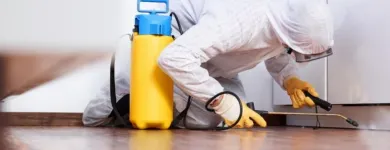 Business 3 image FLIES CONTROL BRISBANE Pest Control Australia in Brisbane QLD