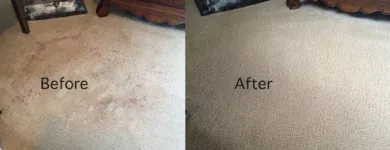Business 3 image FLOOD DAMAGE RESTORATION ADELAIDE Carpet Cleaning & Protection in Adelaide SA