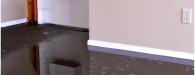 Business 2 image FLOOD DAMAGE RESTORATION MELBOURNE Home Cleaning in Melbourne VIC
