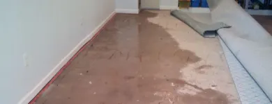 Business 4 image FLOOD DAMAGE RESTORATION MELBOURNE Home Cleaning in Melbourne VIC