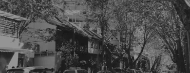 Business 5 image FRESCO CREATIVE Website Design in Surry Hills NSW