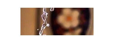 Business 18 image HILLS EMERGENCY PLUMBING PROS Plumbing Services in Castle Hill NSW