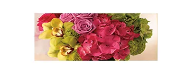 Business 3 image HILLTOP BLOOMS FLORIST & GIFTS Florists in Adelaide SA