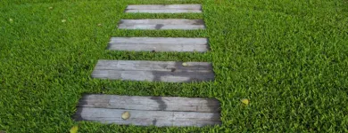 Business 3 image HORTCULTURE Gardeners in Sydney NSW