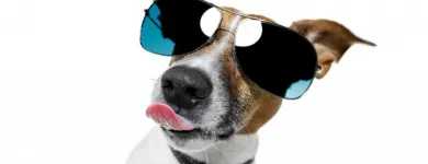 Business 2 image HYPERACTIVE DIGITAL Website Design in Perth WA