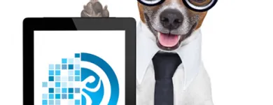 Business 3 image HYPERACTIVE DIGITAL Website Design in Perth WA