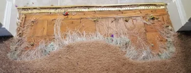 Business 3 image INVISIBLE CARPET REPAIR PERTH Residential Carpet Repair in Perth WA