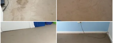 Business 8 image JIM'S CARPET CLEANING GOSFORD Upholstery Cleaning Service in Wyee Point NSW