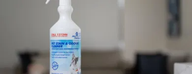 Business 4 image JIM'S CLEANING MOUNT DRUITT CENTRAL Vacate Cleaning in Glendenning NSW