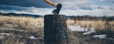 Business 3 image JORDANS TREE SERVICES Tree & Stump Removal Services in Port Kennedy WA