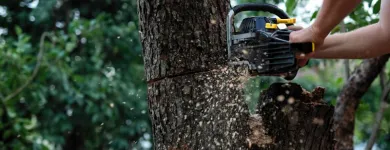 Business 4 image JORDANS TREE SERVICES Tree & Stump Removal Services in Port Kennedy WA