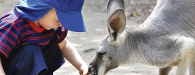 Business 1 image KALEIDOSCOPE TOURS Zoo in Perth WA