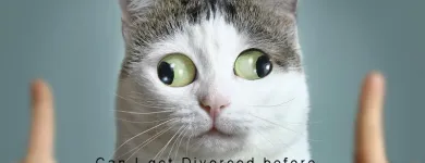 Business 10 image KATE AUSTIN FAMILY LAWYERS Lawyers & Solicitors in Melbourne VIC