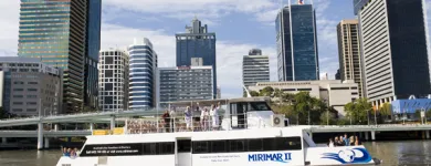 Business 2 image KOALA AND RIVER CRUISE Zoos in Brisbane QLD