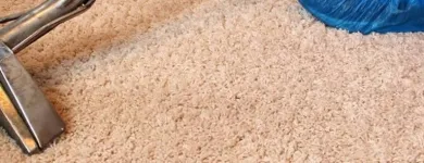 Business 4 image KOALA CLEANING Same Day Carpet Cleaning in Hobart TAS