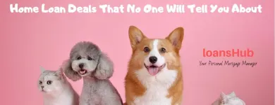 Business 4 image LOANSHUB Small Business Loans in Brisbane QLD