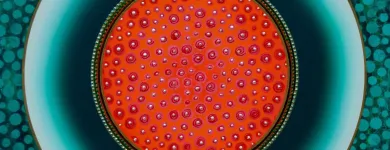 Business 31 image MANDALA DE LIGHT Wirat in Melbourne VIC