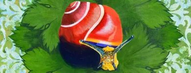 Business 53 image MANDALA DE LIGHT Wirat in Melbourne VIC