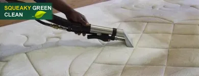 Business 1 image MATTRESS STEAM CLEANING MELBOURNE Mattresses in Melbourne VIC