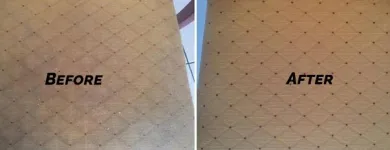 Business 4 image MATTRESS STEAM CLEANING MELBOURNE Mattresses in Melbourne VIC