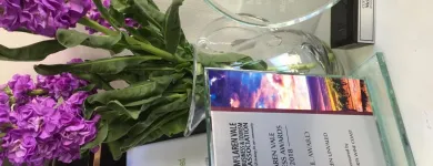 Business 4 image MCLAREN UNVALED Maine Beach in McLaren Vale SA