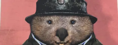 Business 31 image MCLAREN UNVALED Maine Beach in McLaren Vale SA