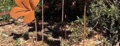 Business 8 image METAL GARDEN Gardeners in Melbourne VIC