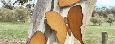 Business 13 image METAL GARDEN Gardeners in Melbourne VIC