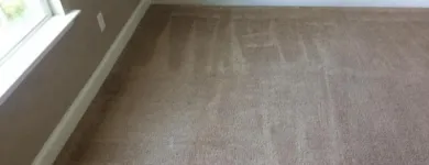 Business 1 image MICKS CARPET CLEANING SYDNEY Cleaning Service in Sydney NSW
