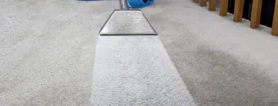 Business 3 image MICKS CARPET CLEANING SYDNEY Cleaning Service in Sydney NSW