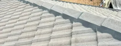 Business 2 image MJ ROOF PAINTING Painters & Decorators in Sydney NSW