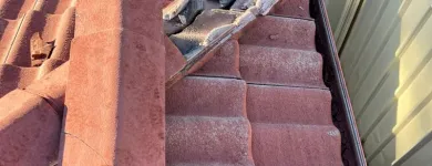 Business 4 image MJ ROOF PAINTING Painters & Decorators in Sydney NSW