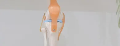 Business 4 image MOTION MYOTHERAPY NORTHCOTE REMEDIAL MASSAGE MELBOURNE Remedial Massage Therapy in Northcote VIC