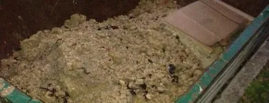 Business 6 image NEED A SKIP NOW Waste Removal in Mordialloc VIC