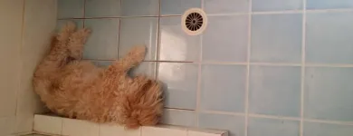 Business 2 image NICE N CLEAN Sealing Compounds & Services in Toowoomba QLD