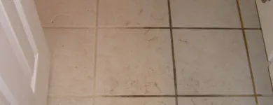 Business 4 image NICE N CLEAN Sealing Compounds & Services in Toowoomba QLD