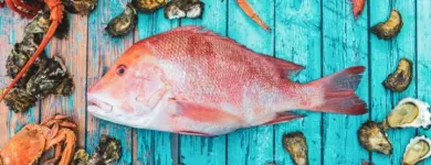 Business 11 image NICK'S SEAFOOD RESTAURANT Waterfront Restaurants Sydney in Sydney NSW