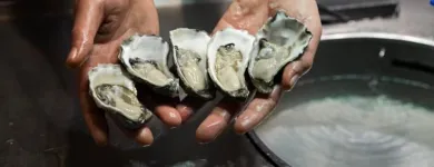 Business 21 image NICK'S SEAFOOD RESTAURANT Waterfront Restaurants Sydney in Sydney NSW