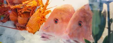 Business 26 image NICK'S SEAFOOD RESTAURANT Waterfront Restaurants Sydney in Sydney NSW