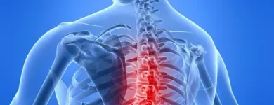 Business 2 image NORTHERN SPINAL & SPORTS INJURY - PLENTY ROAD CLINIC Physiotherapy in Reservoir VIC