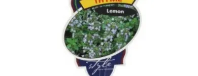 Business 8 image NORWOOD INDUSTRIES Website Designer in Hallam VIC