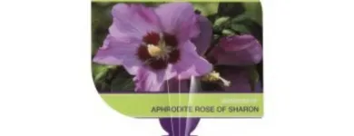 Business 10 image NORWOOD INDUSTRIES Website Designer in Hallam VIC